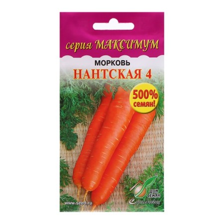 Seeds "Nanta 4", maximum, 10800 pcs