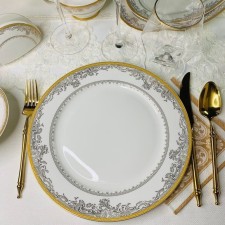 A set of lenardi plates 