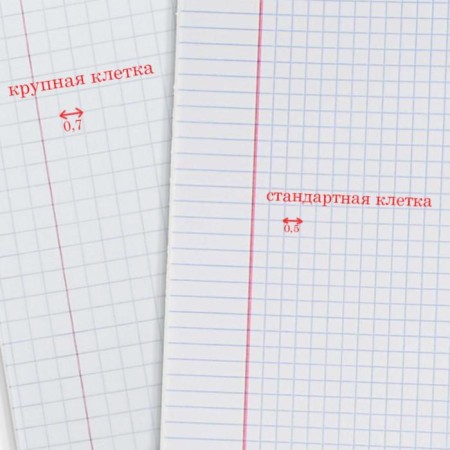 Notebook of 12 sheets in the large Calligrata "Five", cover colested cardboard, VD-psy, OFSET BOLK, Belility 95%, MIX-2
