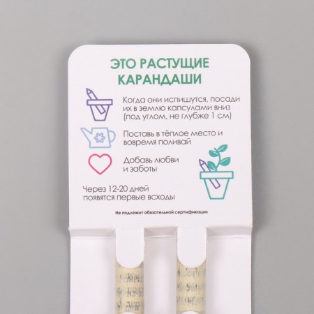 Growing gift pencils mini "chamomile + lavender" set 2 pcs.-2