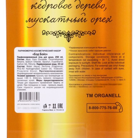 Gift set of men's Bad Boys: shower gel, 250 ml + perfumery water, 33 ml-6