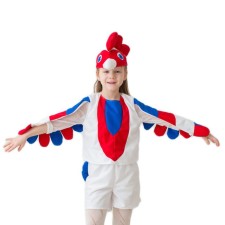 Carnival costumes 