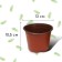 Pot for seedlings, 1 l, d = 15 cm, h = 9.5 cm, Greengo