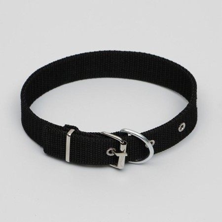 Animal collar-1