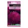 Seeds of flowers Astra needle-knit “Javel Amethyst”, one-year-old, 0.05 g