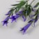 Artificial plant for creativity "Hippeastium" set 6 pcs Violet 11.5 cm
