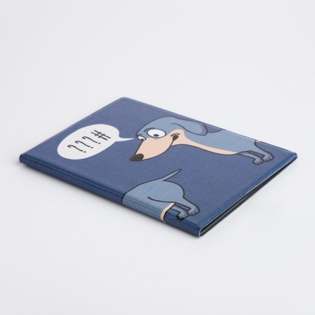 Cover for passport, blue color-2