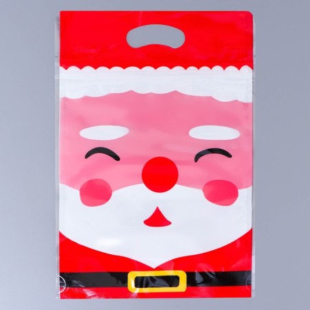 New Year. Gift package, with zip-lock fastener, "Santa Claus", 15x23 ± 1cm.-2