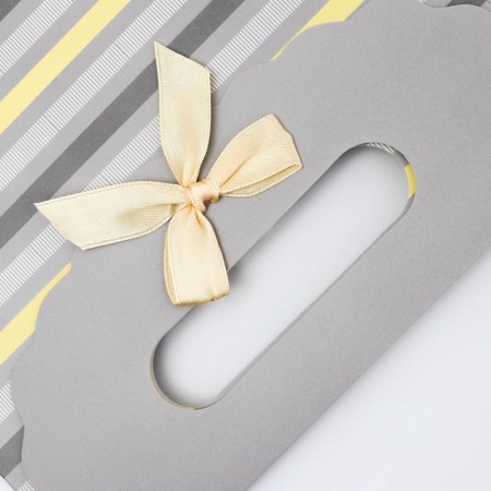 Gift box-package, packaging with a cut handle, "straight lines", 19 x 9 x 27 cm-2