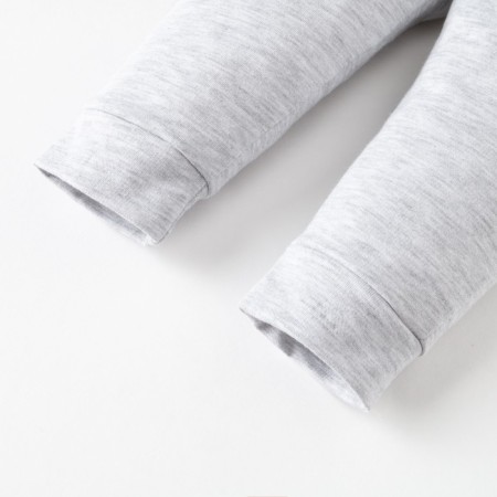 Set: Huds and pants crumb I am "Dino", height 80-86 cm, color gray color-8