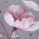 Lovelife Pink Flowers: Crystick 180x217cm+pillowcase 70x70cm-2pcs, Poplin125 g/m²