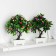 Bonsai in a pot "Wavy flowers" 10x24 cm, mix