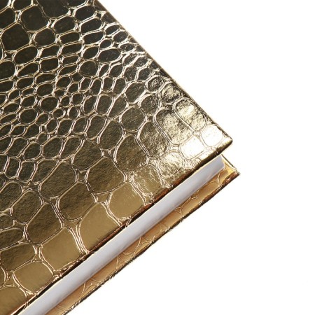 Dated diary 2025, A5 168 sheets, Attomex. Arkona, solid cover, boumvinyl with foam, liesse, block 70, gold-4
