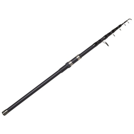 The Karpovs Salmo Blaster Tele Carp rod, test 1-100 g, length 3 m.