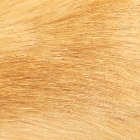 Doll for dogs, 25 cm, beige-7