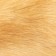 Doll for dogs, 25 cm, beige