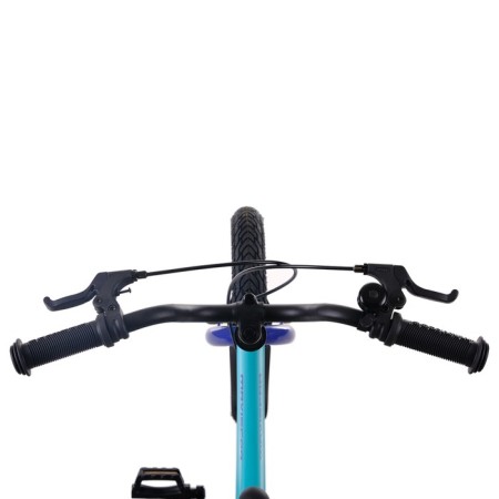 Bicycle 14 ’’ maximo jazz standard plus, mint color-5