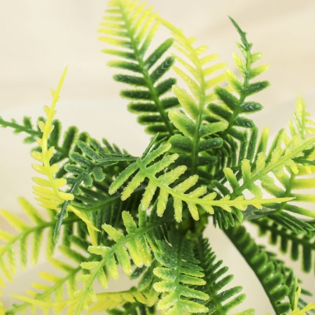 Bouquet "Wavy fern" 15 cm-1