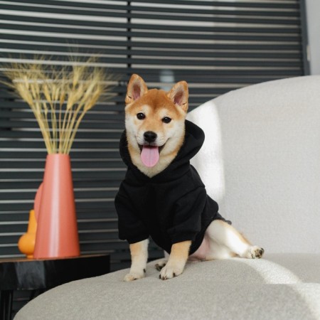 SECURITY sweatshirt for dogs (foot), size M (DS 26, Osh 36-38, OG 46-50), black-10