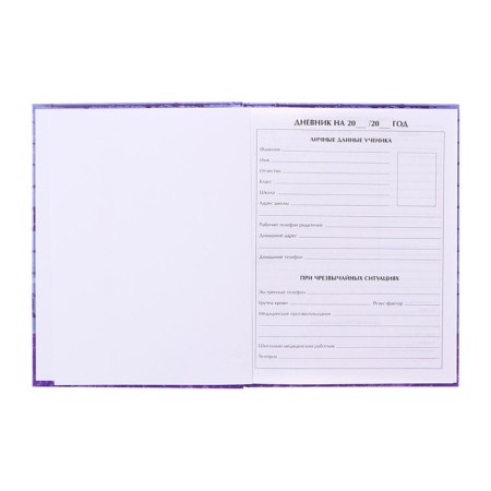Diary for grades 1-4 "Bear", hard cover, glossy lamination, 48 sheets-3