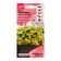 Flower seeds Pethoa "Calibet Yellou", 5 pcs