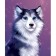 Diamond mosaic with partial filling on the canvas "Husky", 15 x 21 cm