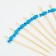 Swaps for Canapes "Fish" set 24 pcs., Blue color