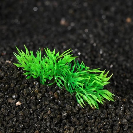 The artificial aquarium plant on stone, 5 x 4 x 7 cm-3
