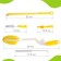 A set of brushes for caring for children's bottles, 6 items, color mix