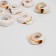 Busina "shell" spiral, 2.1-2.8 cm, set 50 g, white-brown color