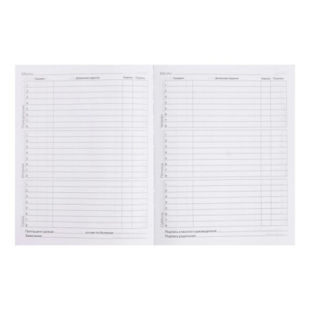 Diary for grades 5-11 "Dragon", integral cover, glossy lamination, 48 sheets-6