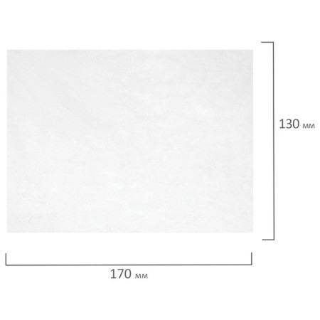 Cleaning napkins for screens and plastic, universal, “Astra”, in the tube 100 pieces, wet-10