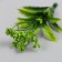 Artificial plant for creativity "Araucaria" set 12 pcs green 9.5 cm
