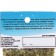 Cat mint, 10 g
