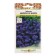 Seeds of lobelia flowers Emperor Willy 0.05 g