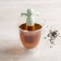BUDDY tea brewing container