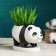 Panda Panda Panda 15x8x9cm, White
