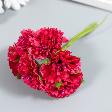 Flowers for decorating "Astra Raspberry" 1 bouquet = 6 colors 10 cm-1