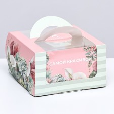 Bearbox under the Bento-Port with the window 
