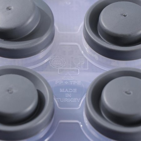 Ice form with a lid, 10 cells, 30 × 12 × 4.5 cm, color mix-4
