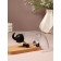 Organizer for cotton sticks and disks "Elephant", with a lid, 15.4 × 7.5 × 8.5 cm, transparent/black