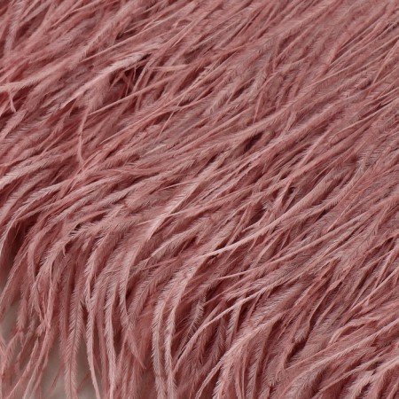 Braid with ostrich feathers, 8-10 cm, 5 ± 0.5 m, powder color-1