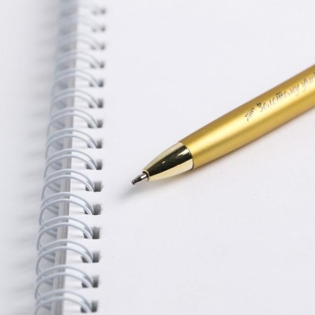 Pen "Golden Teacher", metal, blue paste, 1.0 mm-2