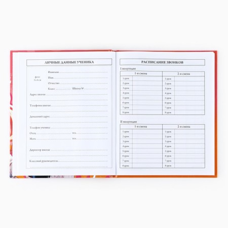 School diary for grade 1-11, in a solid cover, 40 l. "Anime. Girl"-2