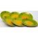 Elrington plates “Airgraph. Green meadow ", 27 cm, 6 pcs