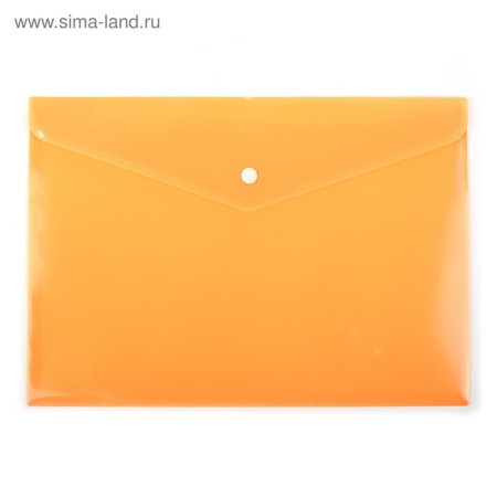 A set of 12 pieces, a button folder, A4 A4 180 MKR format, Assorted, Calligrata-3