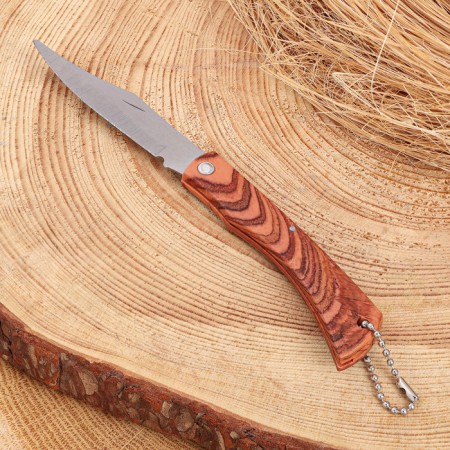 Folding “Herculer” knife 17.2cm, 79mm/1mm blade-1