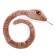 Soft toy "Snake", brown color, 40 cm