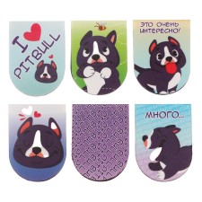 Magnetic bookmarks 6 pieces 