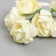 Flowers for decorating "tea roses" 1 bouquet = 6 colors 9.5 cm cream